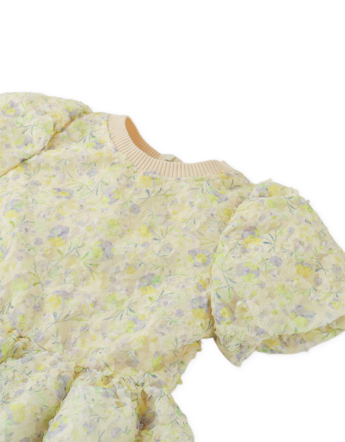 Arabelle Embroidered Tulle Puff-Sleeve Dress