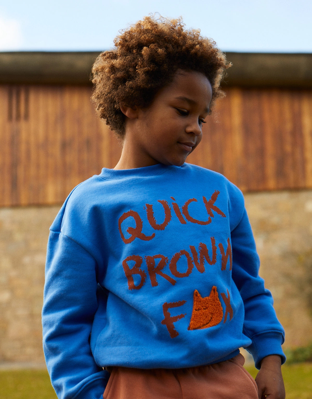 BOYS FOX FLOCK PRINT AND CHENILLE EMBRO JERSEY FLEECE PULLOVER