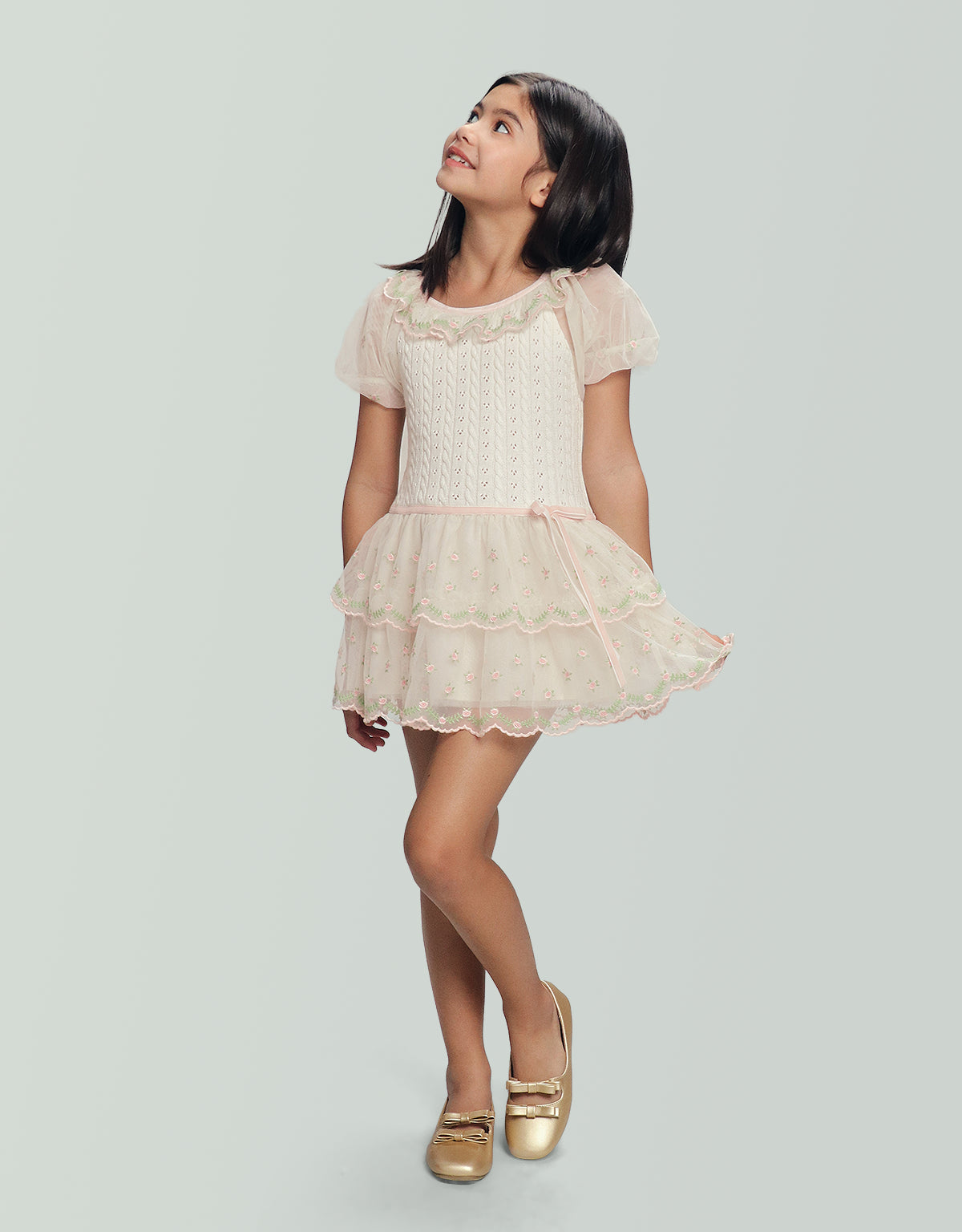 Clara Drop Waist Dress with Embroidered Tiered Skirt