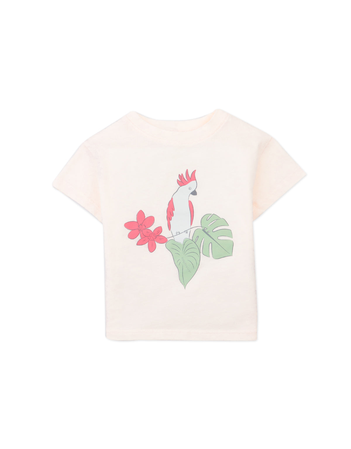 BABY COELI COTTON JERSEY SHORT SLEEVES TEE