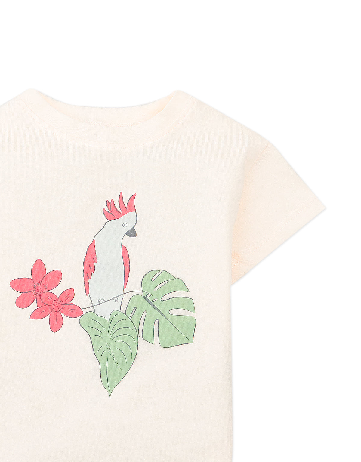 BABY COELI COTTON JERSEY SHORT SLEEVES TEE