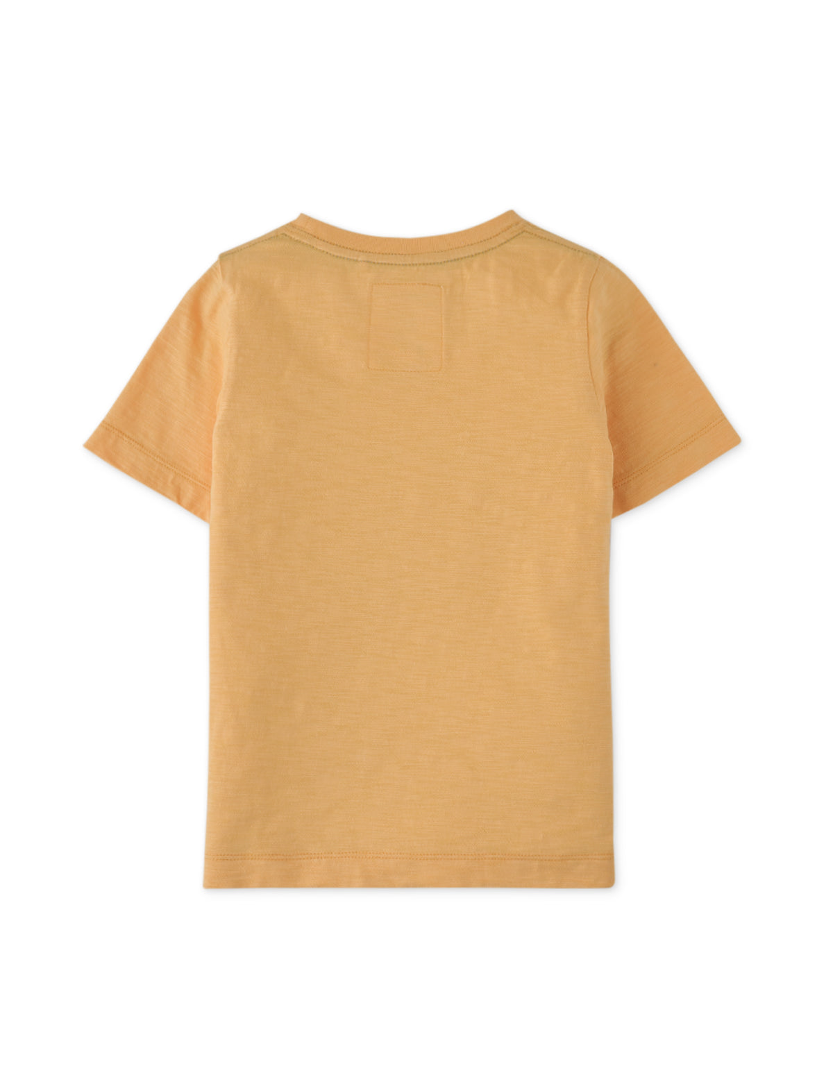 BOYS SUMMER GRAPHIC TEE