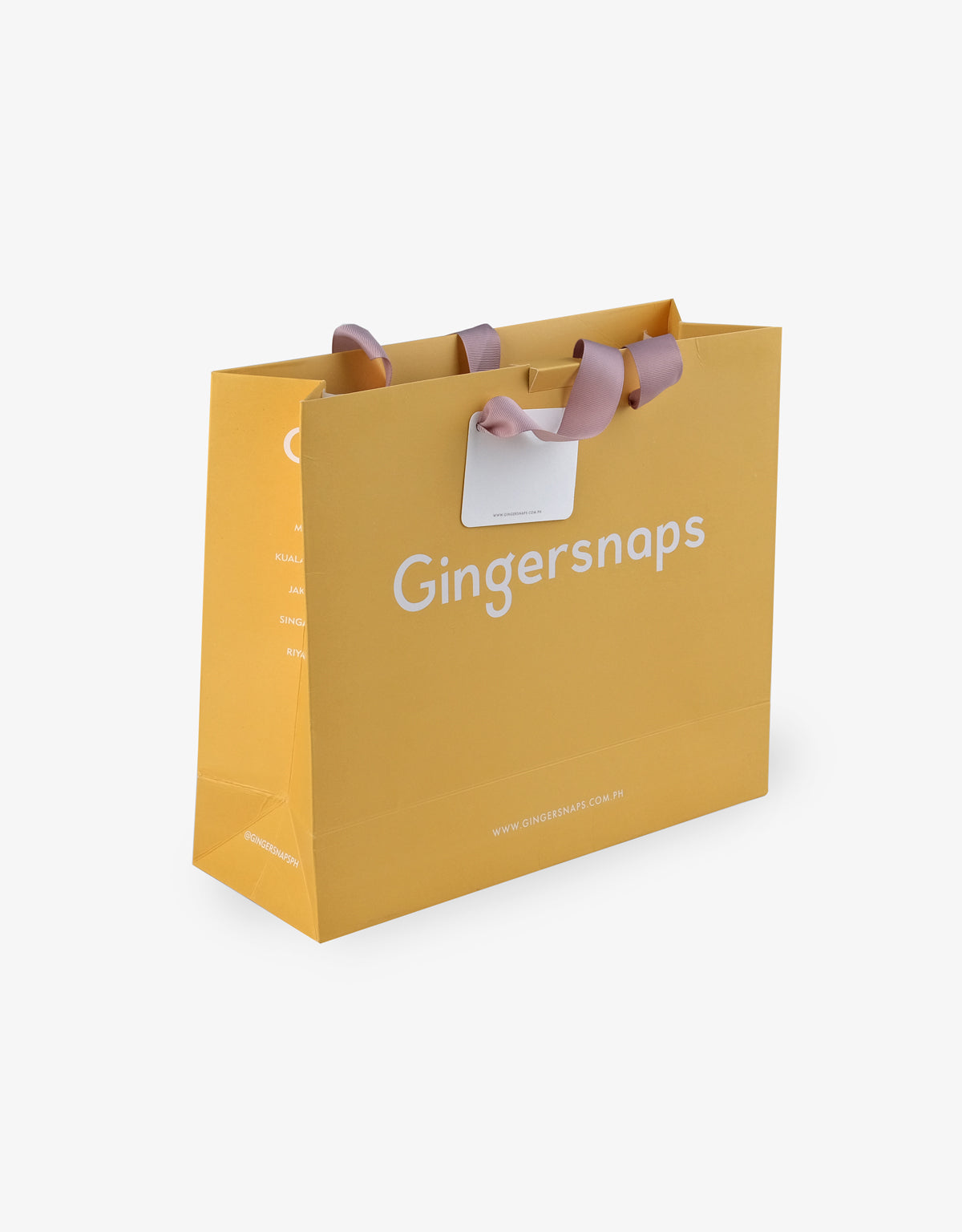GINGERSNAPS PAPER GIFT BAG
