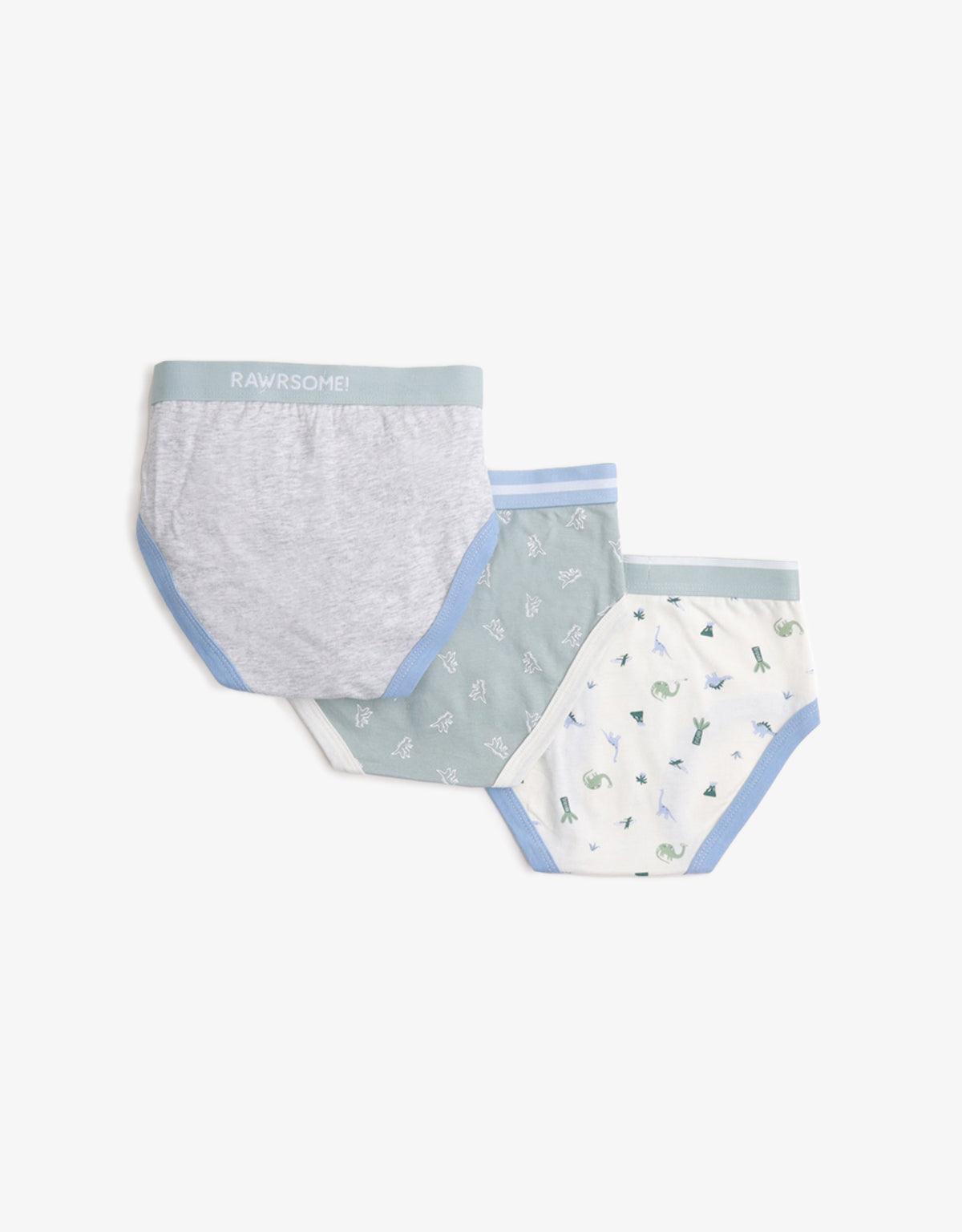 BOYS 3-PACK DINOSAUR BRIEFS SET - gingersnaps | Shop Kids & Children's clothing online at gingersnaps.com.ph