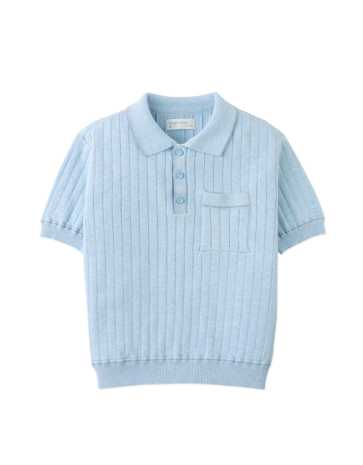 Reiner Polo Shirt with Striped Tipping Accents close-up detail