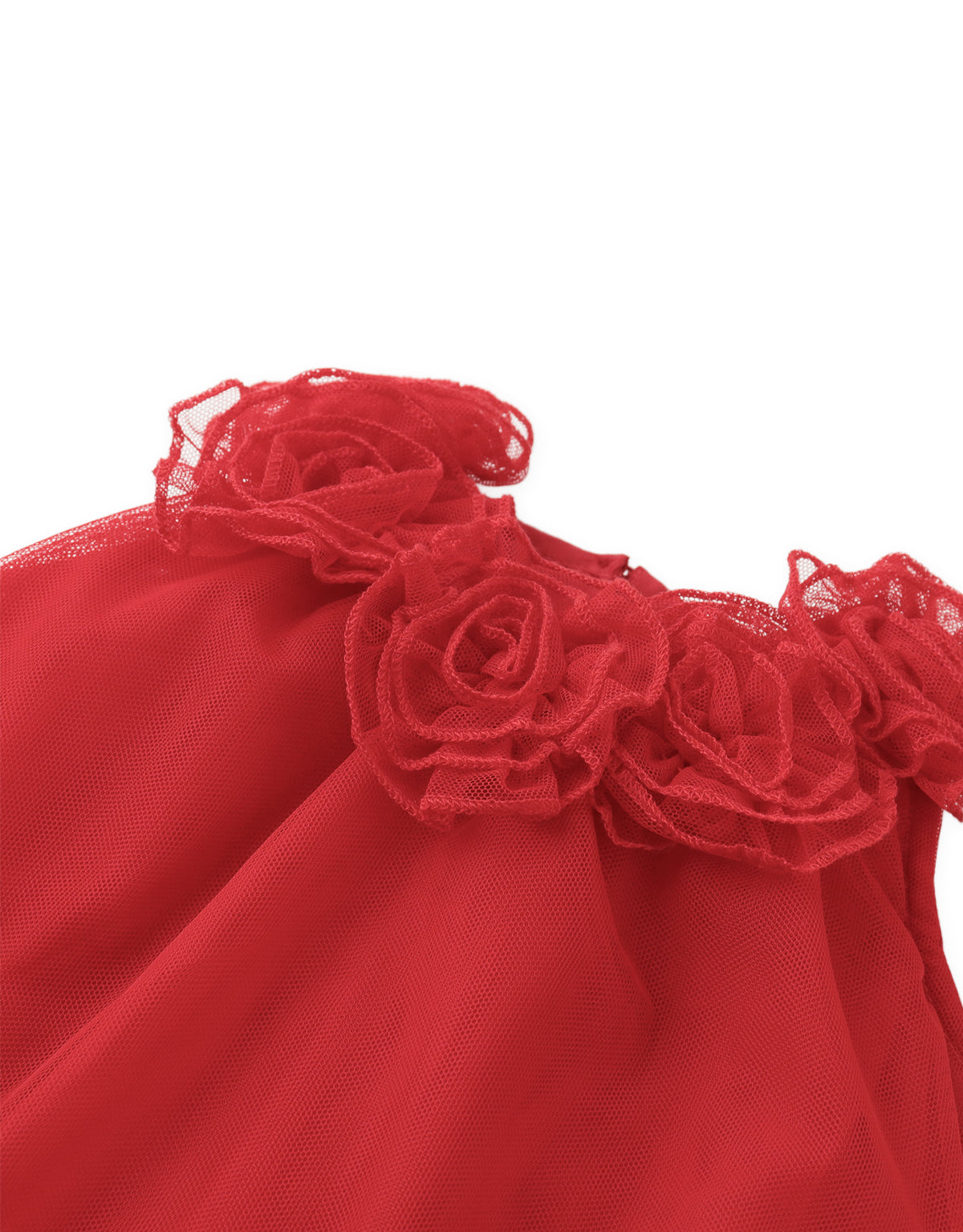 Baby Evangeline Floral Corsage Tulle Dress