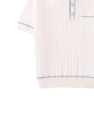 Reiner Polo Shirt with Striped Tipping Accents back view