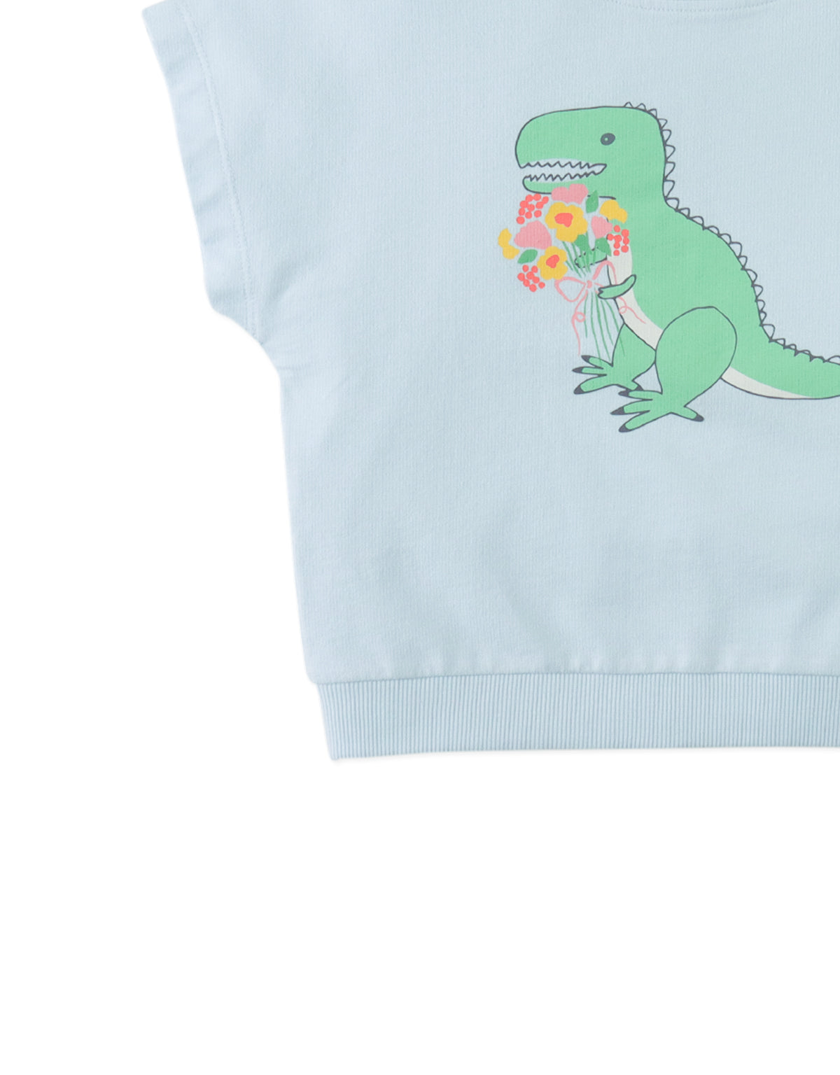 Winona Springtime Dino Graphic Terry Top style detail