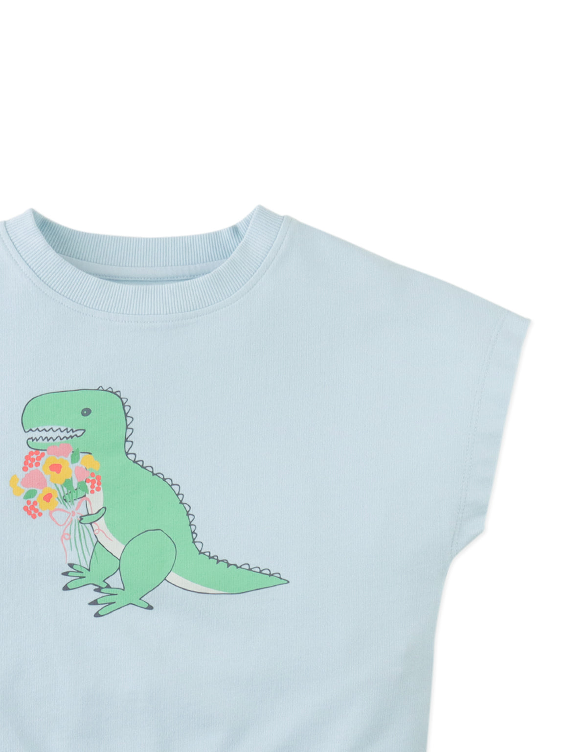 Winona Springtime Dino Graphic Terry Top close-up detail