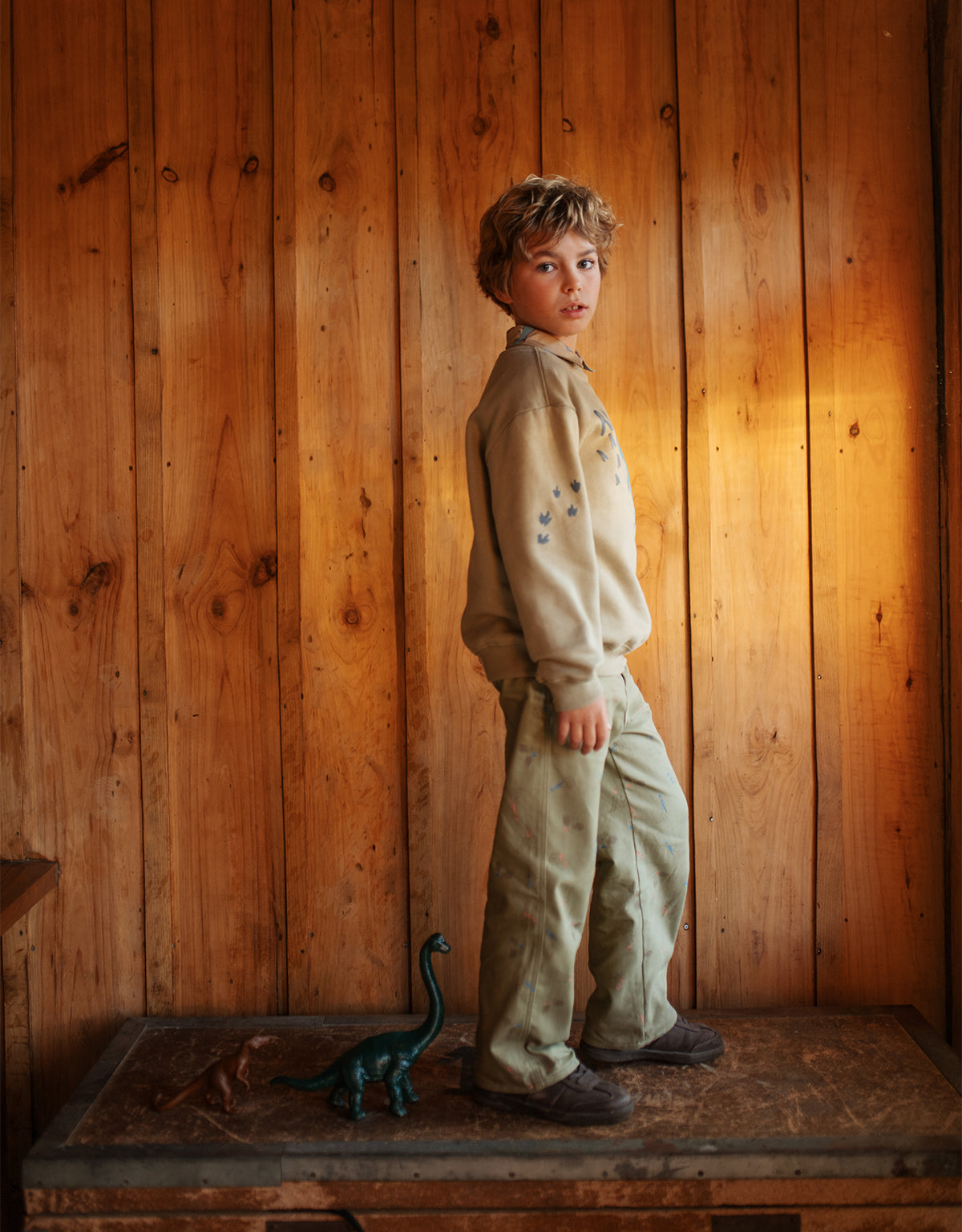 HAROLD LOOSE PANTS DINO PARTY