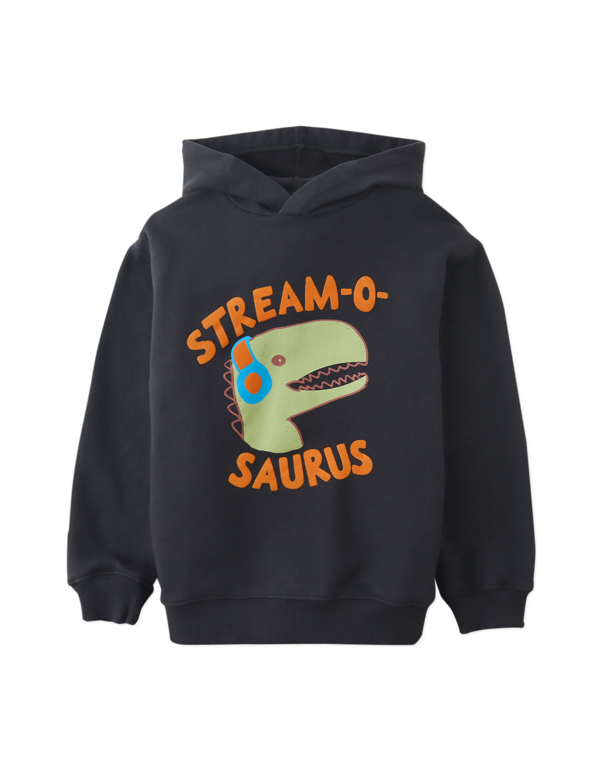 AIDAN HOODED SWEATSHIRT GRAY WITH DINO DJ PRINT AND FLOCKING DETAIL