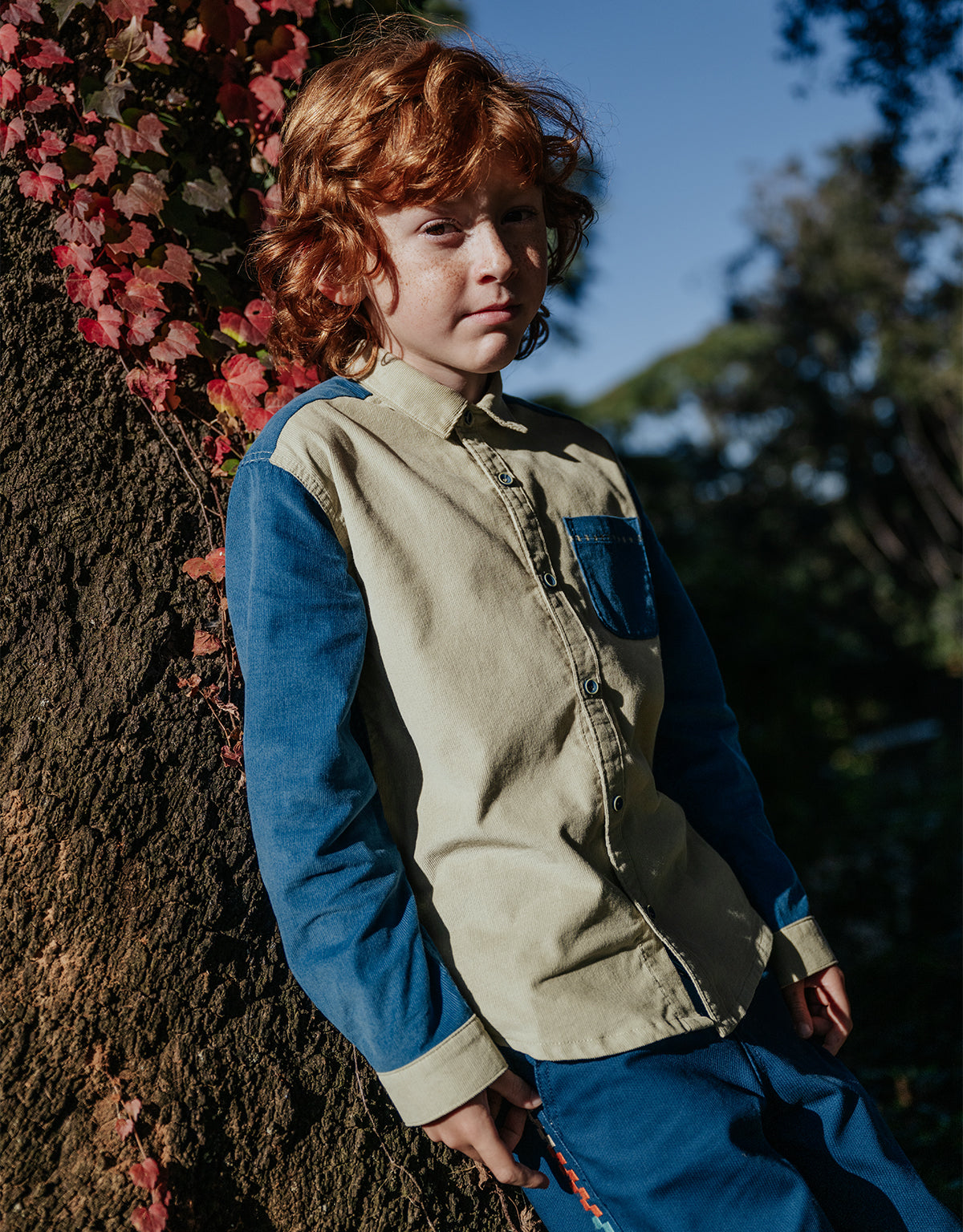 LIEV BUTTON DOWN LONG SLEEVES SHIRT PALE OLIVE/BLUE COLORBOCK WITH MACHINE STITCHING ACCENTS