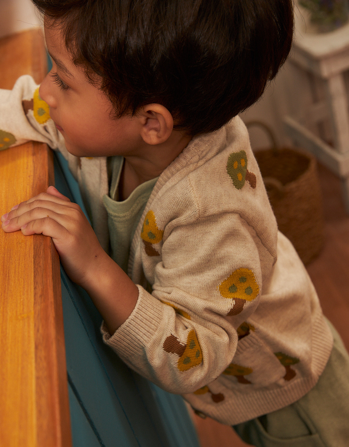 BABY BOYS MUSHROOM INTARSIA CARDIGAN