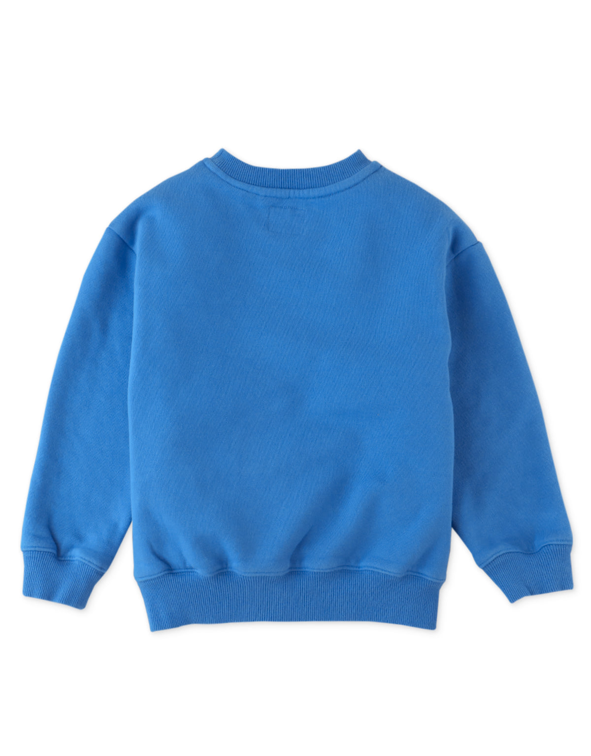 BOYS FOX FLOCK PRINT AND CHENILLE EMBRO JERSEY FLEECE PULLOVER