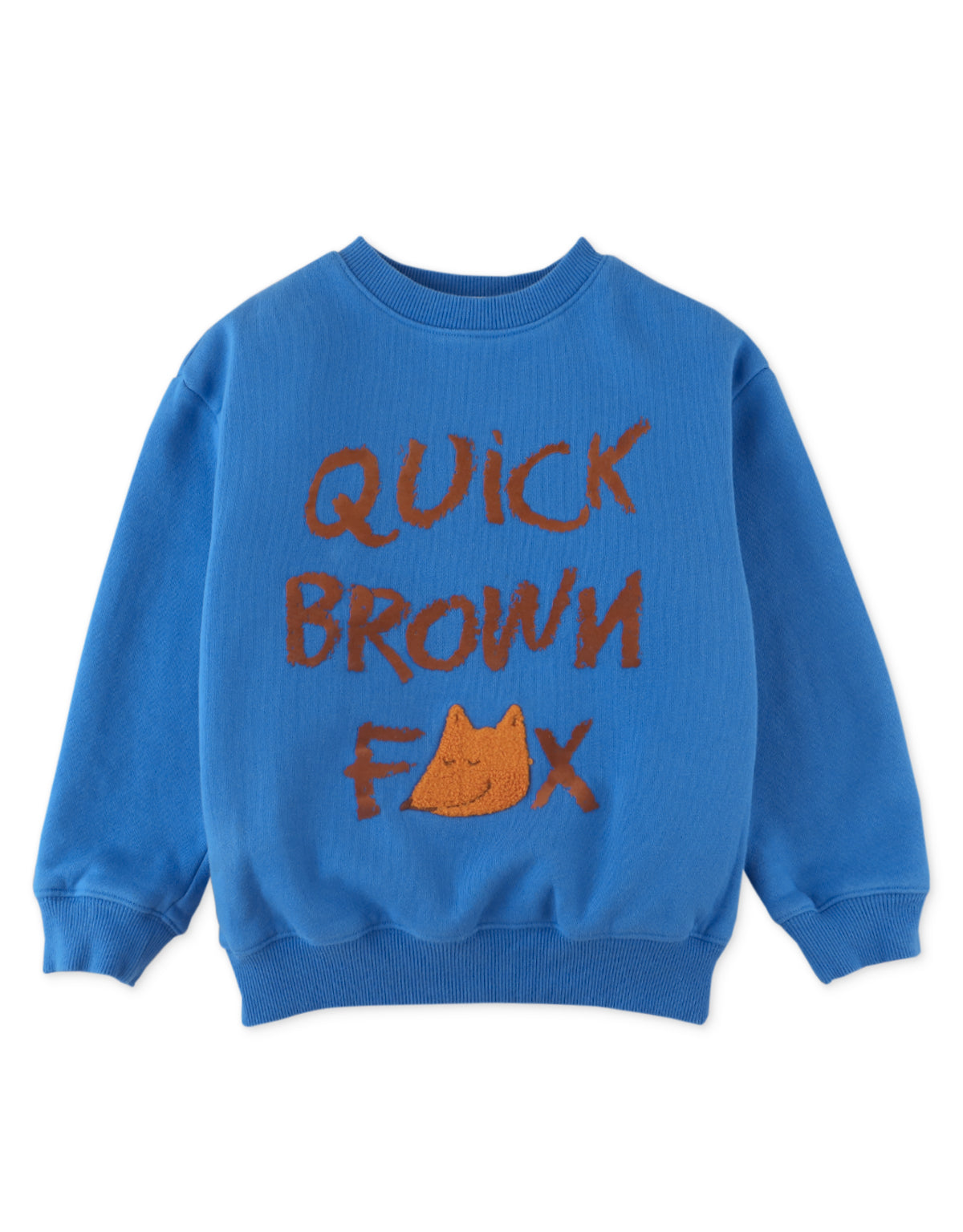 BOYS FOX FLOCK PRINT AND CHENILLE EMBRO JERSEY FLEECE PULLOVER