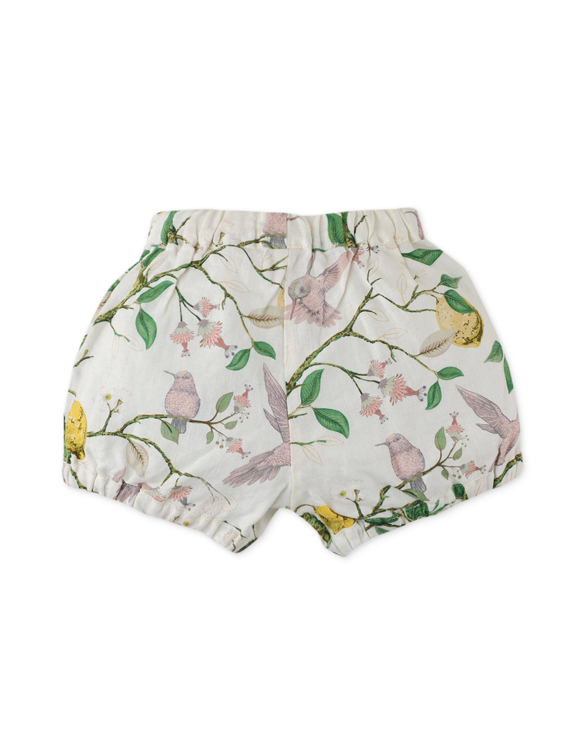 BABY GIRLS HUMMING BIRD AND LEMON PRINTED BLOOMER WITH TIES