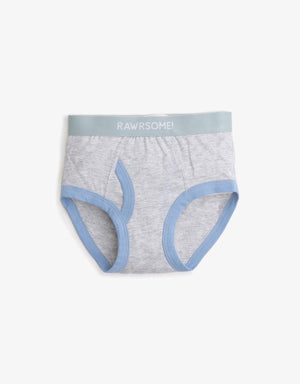 BOYS 3-PACK DINOSAUR BRIEFS SET - gingersnaps | Shop Kids & Children's clothing online at gingersnaps.com.ph