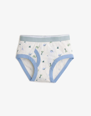 BOYS 3-PACK DINOSAUR BRIEFS SET - gingersnaps | Shop Kids & Children's clothing online at gingersnaps.com.ph